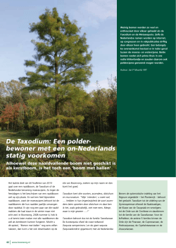 De Taxodium: Een polder- bewoner met een on