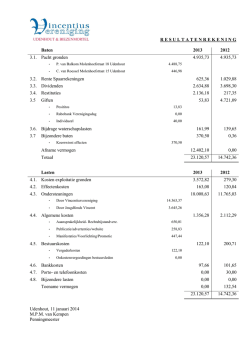 Download hier de Resultatenrekening 2013
