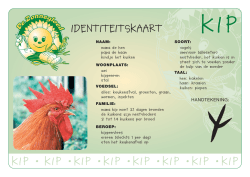 KIP • KIP • KIP • KIP • KIP • KIP • KIP • KIP