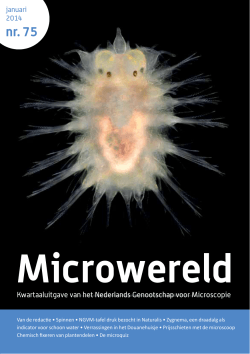 Microwereld