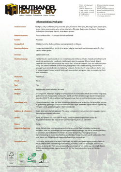 Informatieblad: Pitch pine