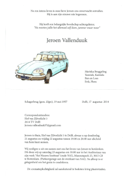 Jeroen Vallenduuk - Ring Pass Delft