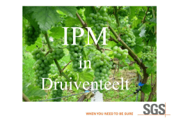 IPM in openlucht druiventeelt
