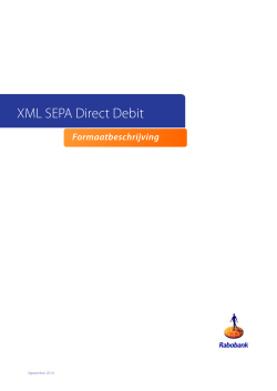 Formaatbeschrijving | XML SEPA Direct Debit