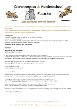 hier - Hondenschool Pijnacker