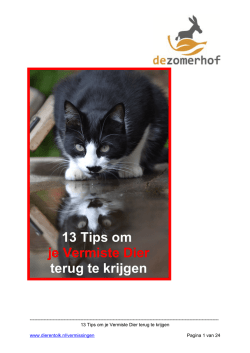 Kat vermist - Dierentolk
