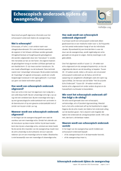 Echoscopisch onderzoek tijdens de zwangerschap (pdf