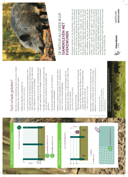 Download de folder over everzwijnen (pdf - 500 KB)