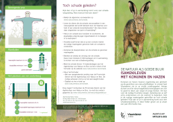 Download de folder over konijnen en hazen