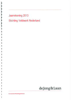 Jaarrekening 2013 Stichting Veldwerk Nederland