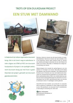 EEN STUW MET DAMWAND