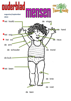 het hoofd de vinger de hand het oog het oor de