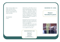 Project Hemelbed te paard