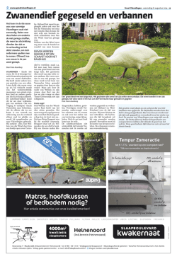 Groot Vlaardingen - 6 augustus 2014 pagina 15