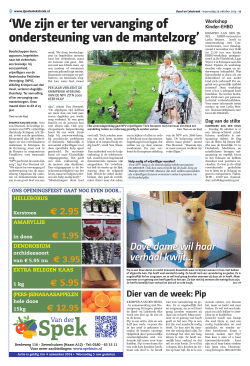 IJssel- en Lekstreek - 29 oktober 2014 pagina 12