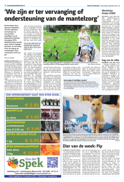 IJssel- en Lekstreek - 29 oktober 2014 pagina 12