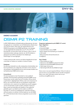 Flyer DSMR P2 training