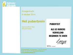 Het brein