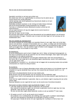 Hoe ver zijn we met de zwarte kanarie ? Sporadisch verschijnt er