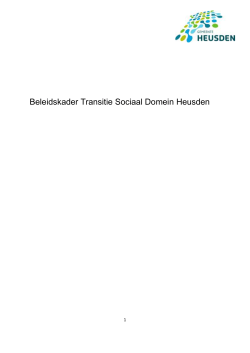 d. OOP BIJ Beleidskader Transitie Heusden-O.docx