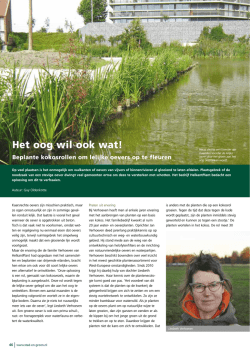 Het oog wil ook wat!