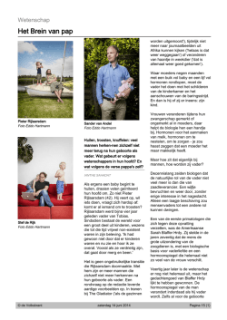 Het Brein van pap