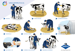 Download hier het protocol