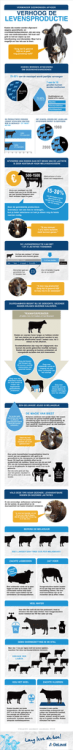 Download de infographic