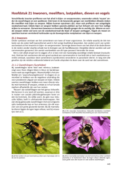 Download - Bestuivers.NL