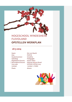 hogeschool windesheim flevoland opstellen werkplan