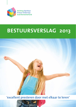 Jaarrekening 2013 en bestuursverslag Stopoz