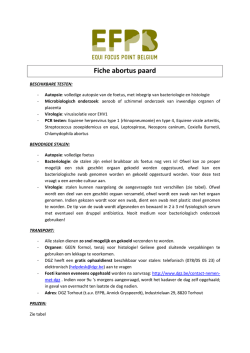 Fiche abortus paard