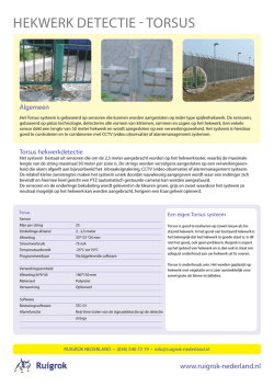 HEKWERK DETECTIE - TORSUS