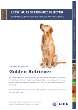 Download de huisdierenbijsluiter Golden Retriever