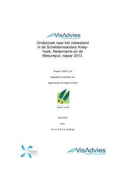 Scheldemeanders Kriephoek, Mesureput en Nederename