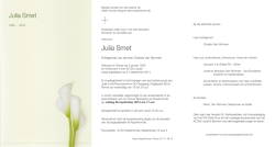 Julia Smet - Wase Begrafenissen