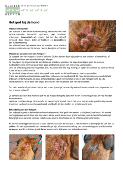 Hotspot bij de hond
