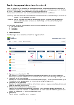 Handleiding interactieve loonstrook