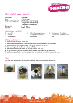 Lavendelolie maken - Kinderopvangtotaal