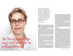 Interview Hester van Bruggen – Openbaar Ministerie