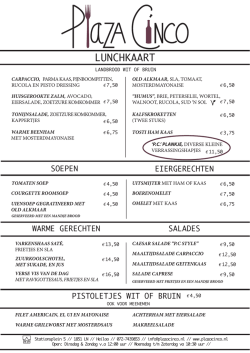 LUNCHKAART - Plaza Cinco Heiloo