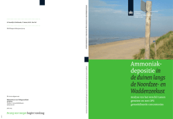 "Omslag onderzoeksrapport voorbeeld 1" PDF