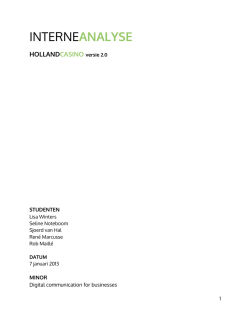 Interne analyse versie 2.0