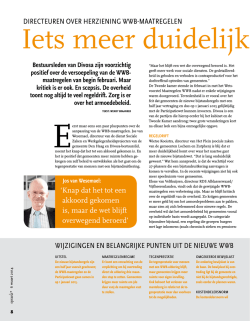 Directeuren van sociale diensten sceptisch over WWB