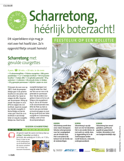 1411-LIB - Visinfo