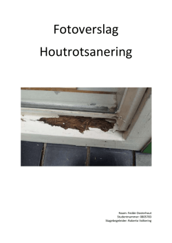 Houtrot sanering