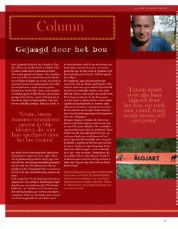 Download (pdf)