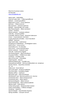 Plant list of common names De Warande www.strongbulbs.com