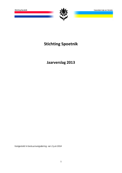 Stichting Spoetnik - Jaarverslag 2013 (juni 2014, PDF)
