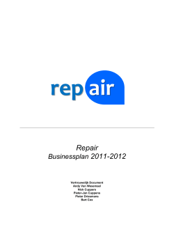Business Plan - Repair